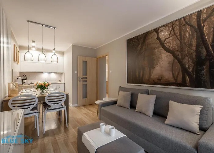 Bluesky - Przemysłowa Apartament